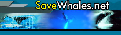Help to save the whale for free!!